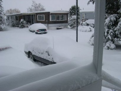 snowfall in winnipeg nov 2005